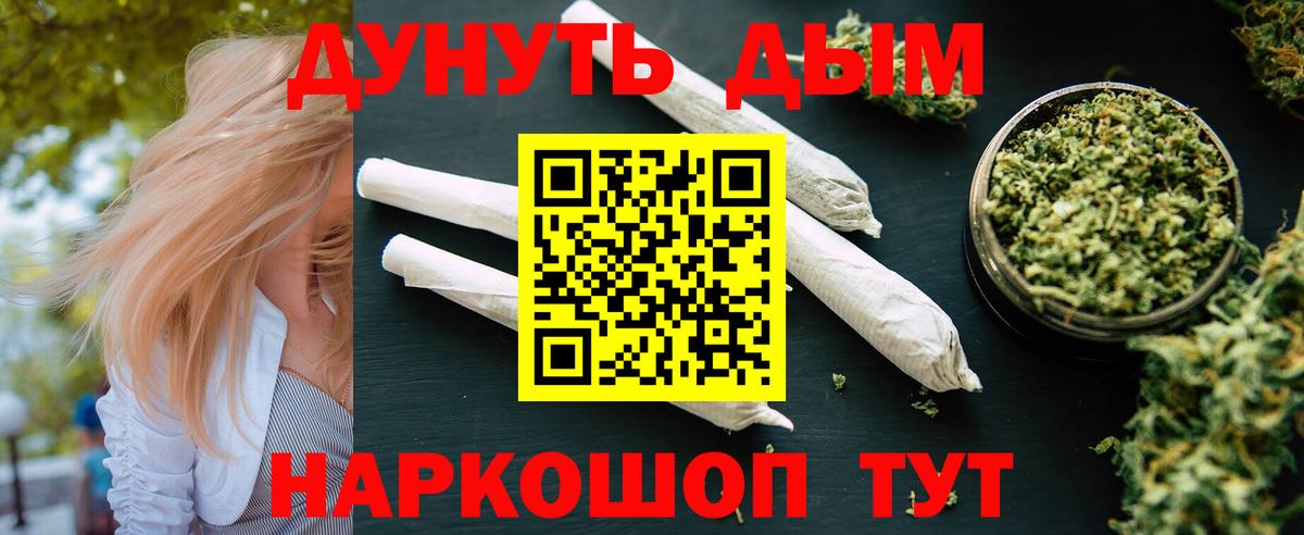 Канабис конопля Асино
